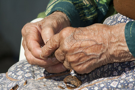 老人手掰核桃背景图片