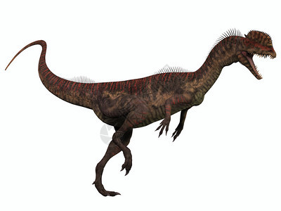 Dilophosurus是生活在侏罗纪时期的有血肉掠夺恐龙图片