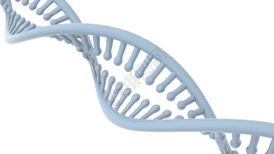 DNA双螺旋白色背景图片