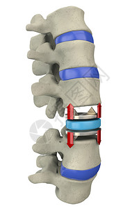 人体脊柱部分的3d插图图片