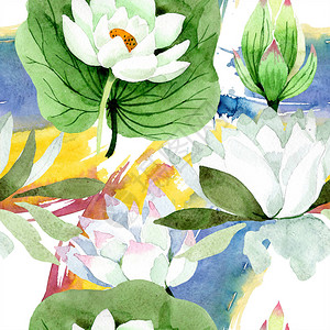 水彩白莲花卉植物花无缝背景图案织物壁纸打印纹理背景纹理包装图案框架或边框图片