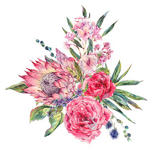 古典复古花卉贺卡玫瑰普罗蒂亚水苏蓟黑莓和野花的水彩花束图片