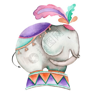一手画的马戏团大象画在白色背景的水彩中孤立的马戏团节日和图片