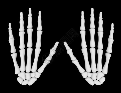 3d骷髅图片