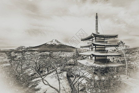 富士山和Chureito塔在秋天的日出Chureito宝塔位于日本富士吉田富士山图片