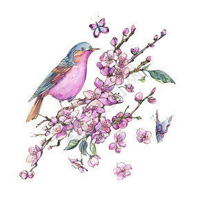 停留在樱花花枝上的小鸟图片