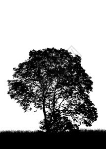 树剪影花草黑白形状图片
