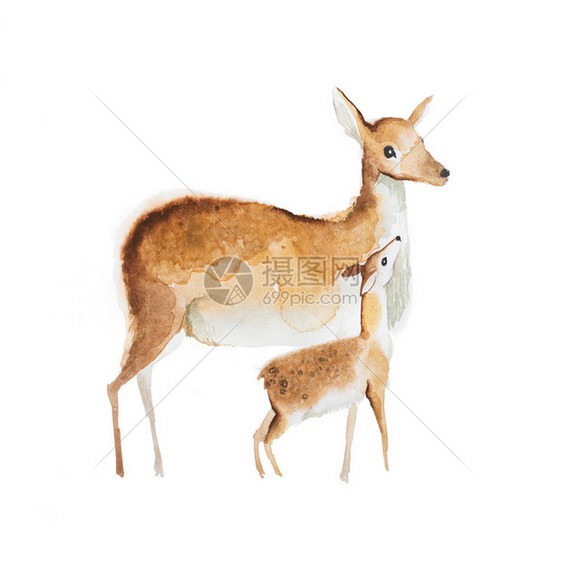 鹿妈和小鹿的水彩画图片