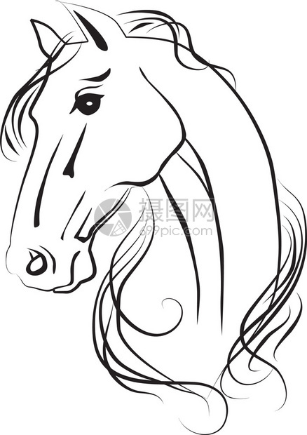简单的马头黑白画法图片