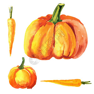 橙色水彩蔬菜手图片