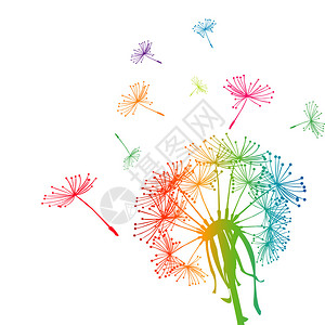 有色种子的彩色蒲公英图片