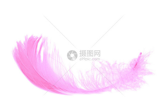 孤立在白色上的粉红色羽毛图片