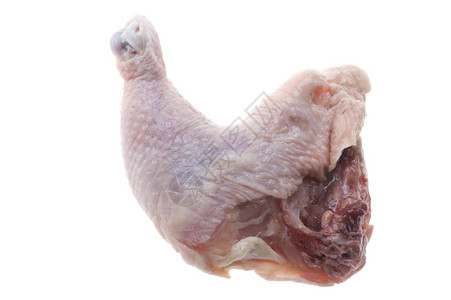 白生鸡腿上的对象图片素材