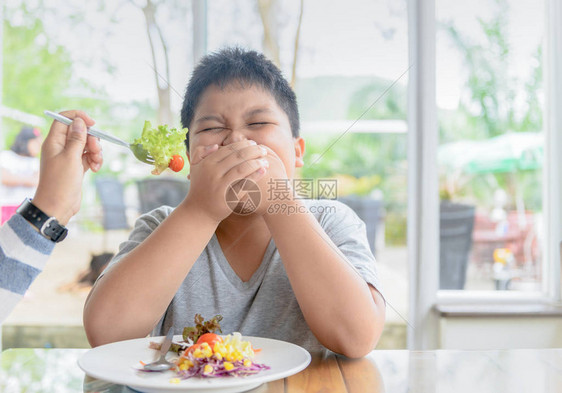 肥胖子对蔬菜表示憎恶拒绝食物概图片