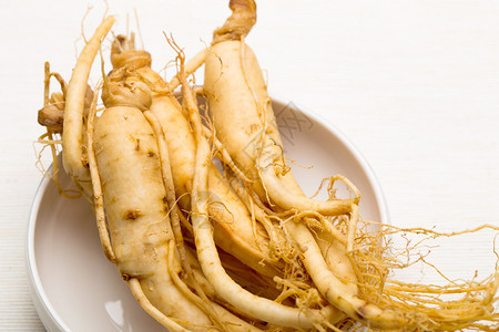 新鲜金生高清图片下载正版图片503005580摄图网