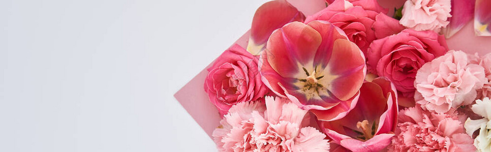 粉红和白色背景的玫瑰郁金香和康乃图片
