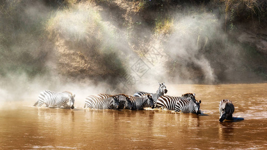肯尼亚马拉河MaraAfricanAfrica高清图片