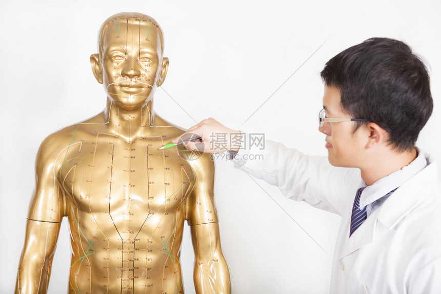 中医在人体模型上教穴位图片