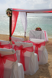 热带海滩婚礼图片