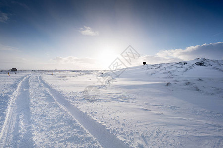 冰雪覆盖地表风雪中的车辆轮胎轨迹图片