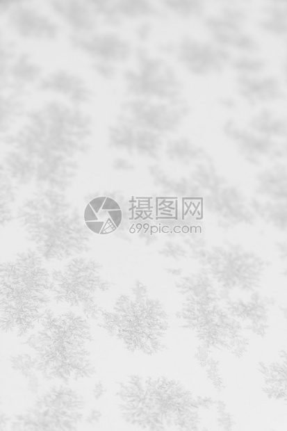 大雪或冰晶的特写图片