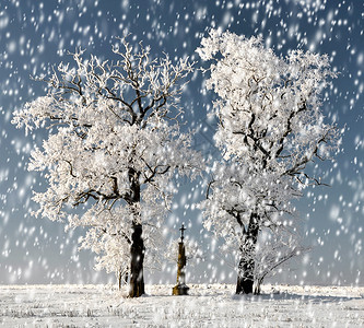 白雪皑的冬季景观图片