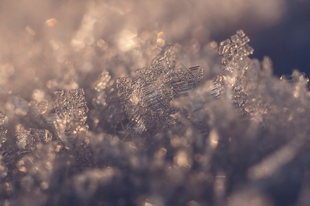 近距离的雪晶在金图片