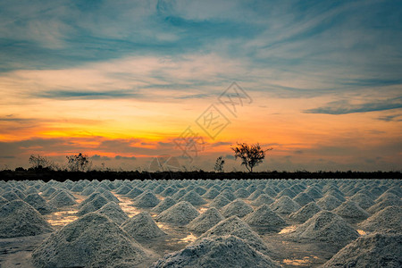 早晨的盐场与日出的天空有机海盐海水的蒸发和结晶盐工业原料氯化钠太阳能蒸图片