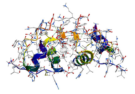 胰岛素分子结构图片