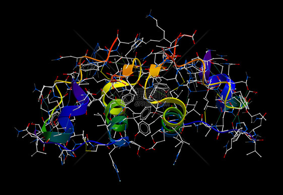 胰岛素3D分子模型图片