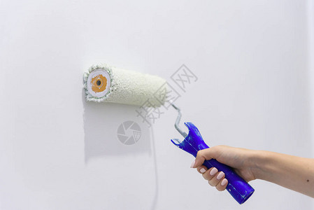用油漆滚筒用白色油漆刷出白色的墙壁用油漆滚筒关闭女手绘墙在房子概背景图片
