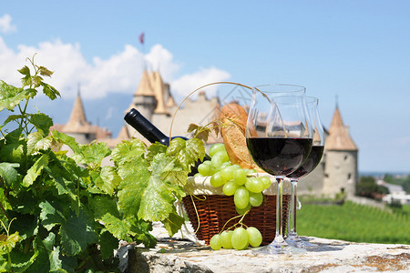 葡萄酒和葡萄瑞士艾格勒城堡图片