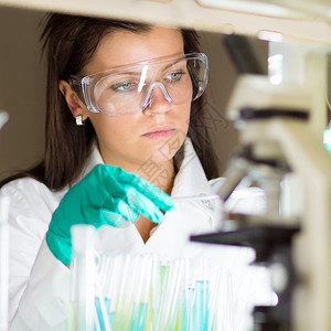 有吸引力的年轻博士生科学家在生命科学研究实验室看着显微镜载玻片图片