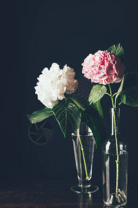 粉色和白色的花朵在玻图片