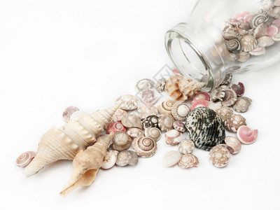从玻璃瓶中掉下来的贝壳在沙滩上留下美好的回忆孤立在白色背景图片