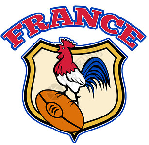 叫了个鸡说明法国的一只公鸡在橄榄球顶上用盾牌摇叫设计图片