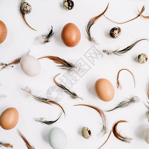 白色和棕色的复活节彩蛋鹌鹑蛋和白色背景上的羽毛图片