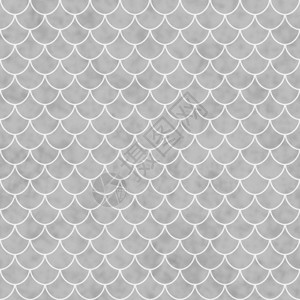 灰色和白色壳牌白壳泥板模式重覆背景图片