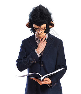 猴子人读书图片