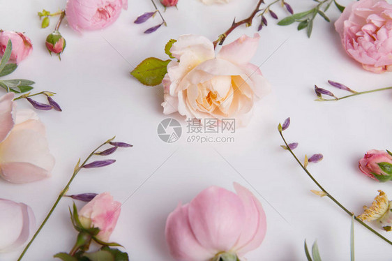 白色背景上的节日花英式玫瑰组成俯视图复制空间生日母亲情人节女图片