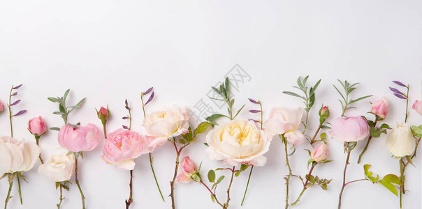 白色背景上的节日花英式玫瑰组成俯视图复制空间生日母亲情人节女图片