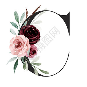 白色背景的花和叶子花纹字母表c图片素材