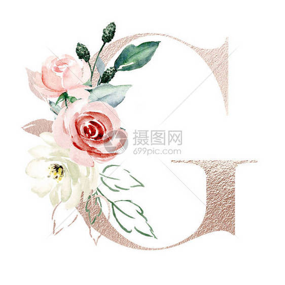 手绘水彩画G字母与鲜花图片