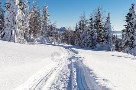 乌拉尔山上的冬季雪覆盖树木有一辆雪车的图片