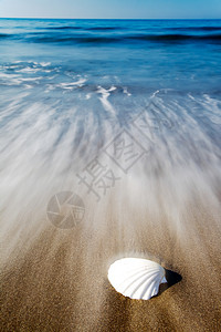 热带海滩上的白贝壳即将到来的波图片