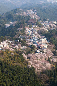 赏樱胜地奈良县吉野山图片