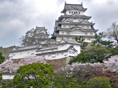 日本最著名的景象之一是樱花Sakura期间的美丽白色图片