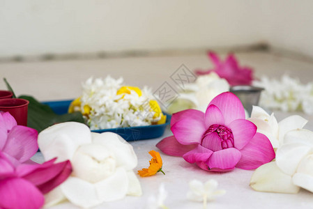佛寺中凌乱美丽的花朵组合物图片