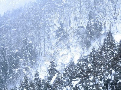 大雪下的冬季山林图片