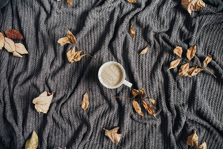 咖啡加牛奶和干秋叶在温暖图片